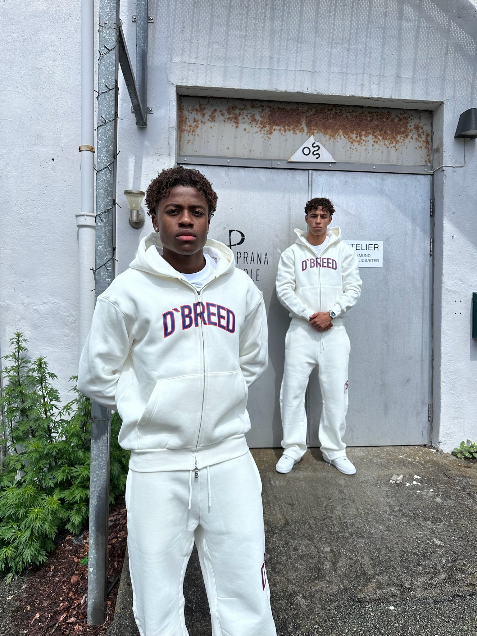 D'BREED HOODIE [SUPERSTAR]